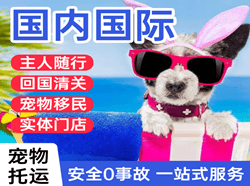硕放航空货运国际宠物托运 【国